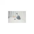 Надуваемо джакузи BESTWAY Palm Palm Springs HydroJet [7]